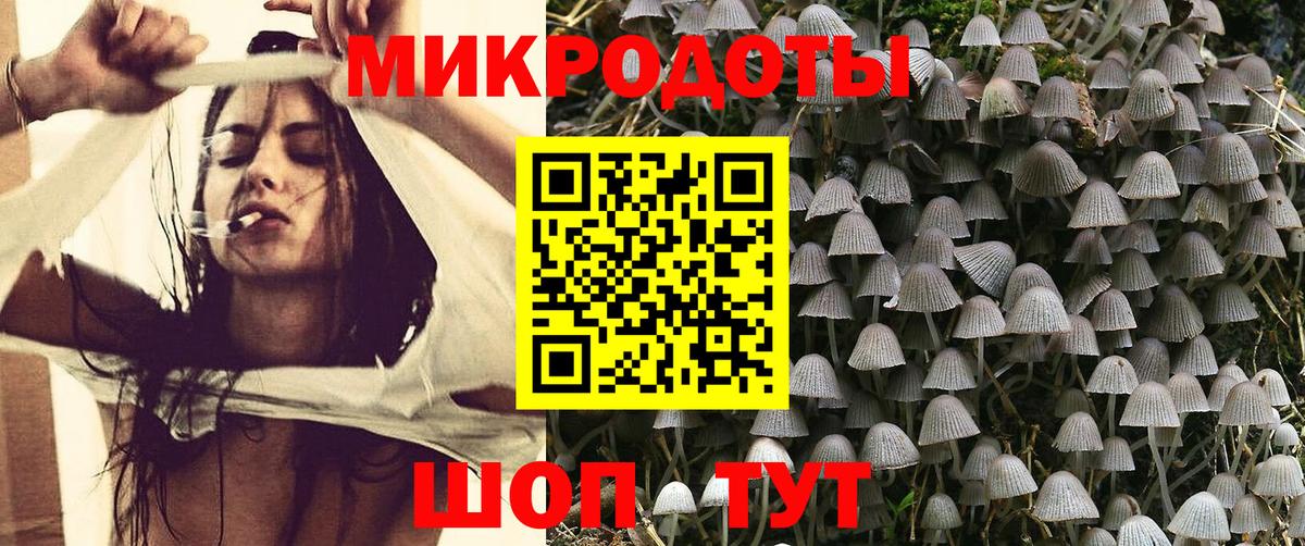 Галлюциногенные грибы Psilocybine cubensis  Вход с VPN  Тольятти 